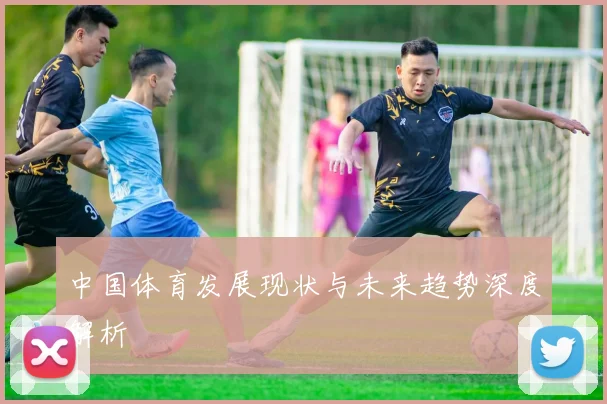 中国体育发展现状与未来趋势深度解析